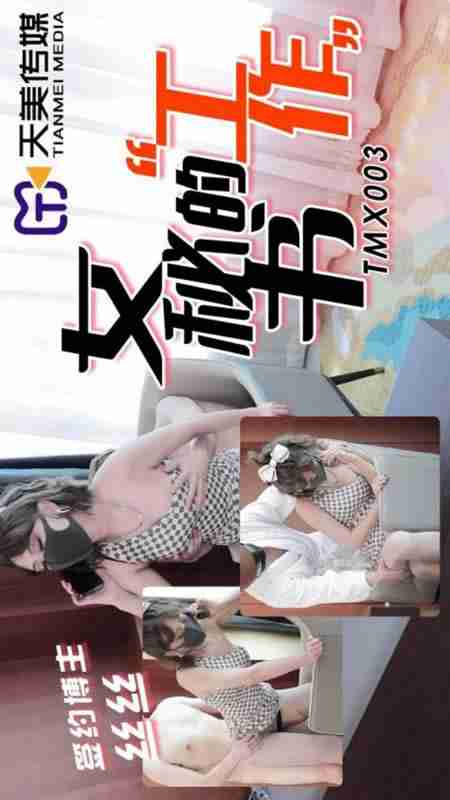 TMX003 The Secretary's Job