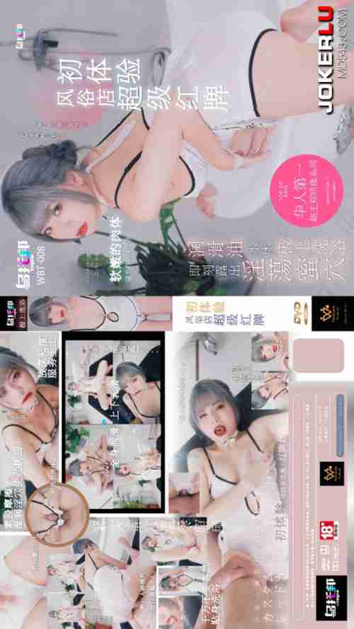 WTB-008 Super Popular Brothel Girl's First Experience